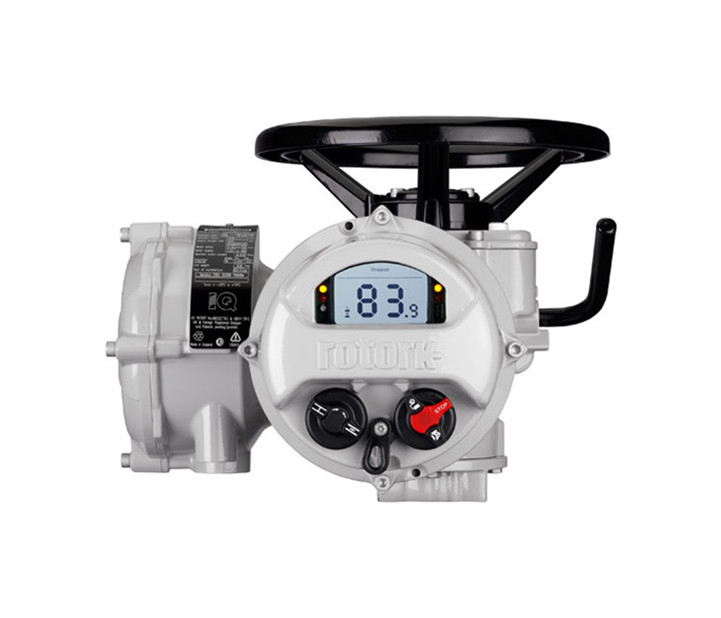 羅托克電動執(zhí)行器型號是否齊全？哪些廠家信得過？