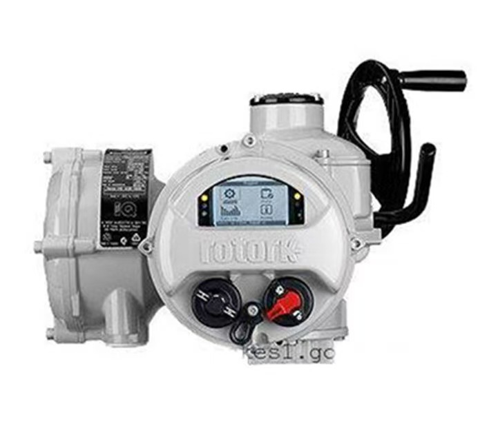 羅托克電動執(zhí)行器角行程型號可以調(diào)整速度嗎？如何操作？